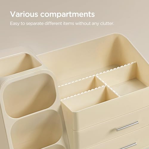 Makeup Organizer with Brush Holder for Vanity