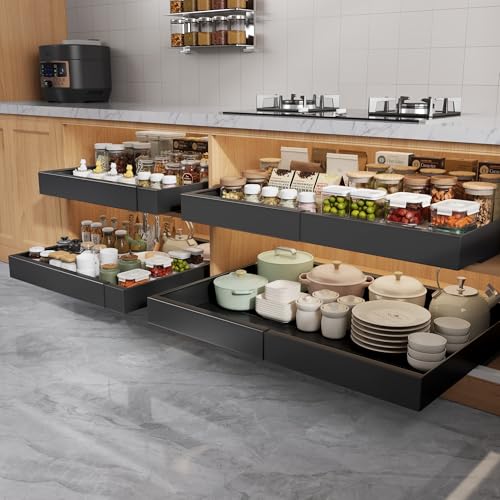Pull Out Cabinet Organizer Drawer