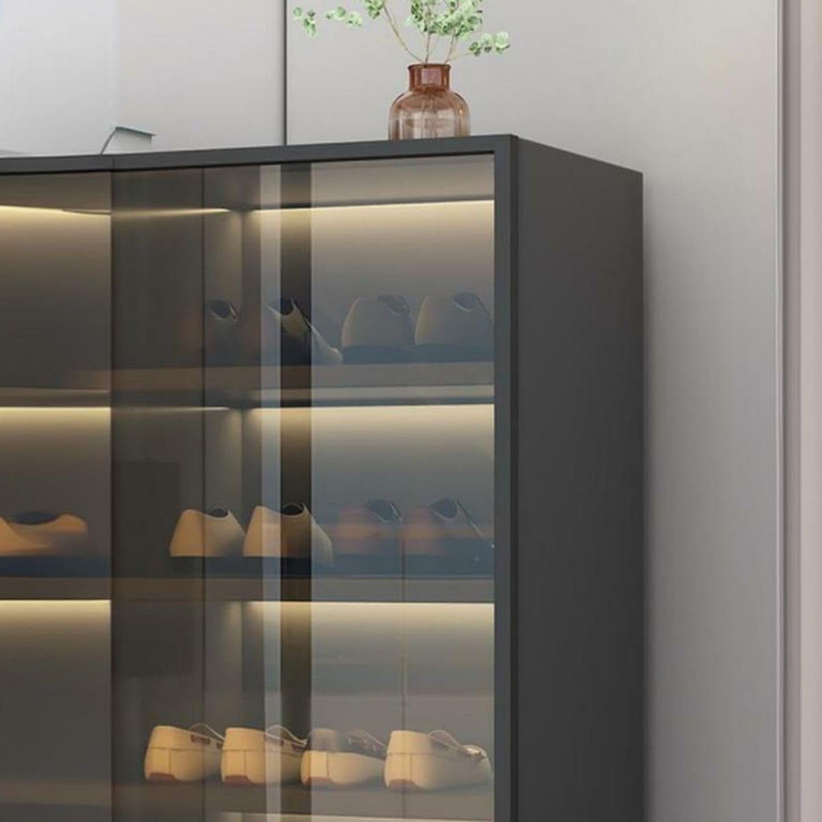 Glass Door Shoe Cabinet with LED Storage
