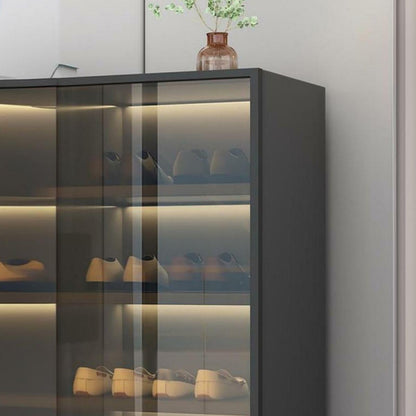 Glass Door Shoe Cabinet with LED Storage