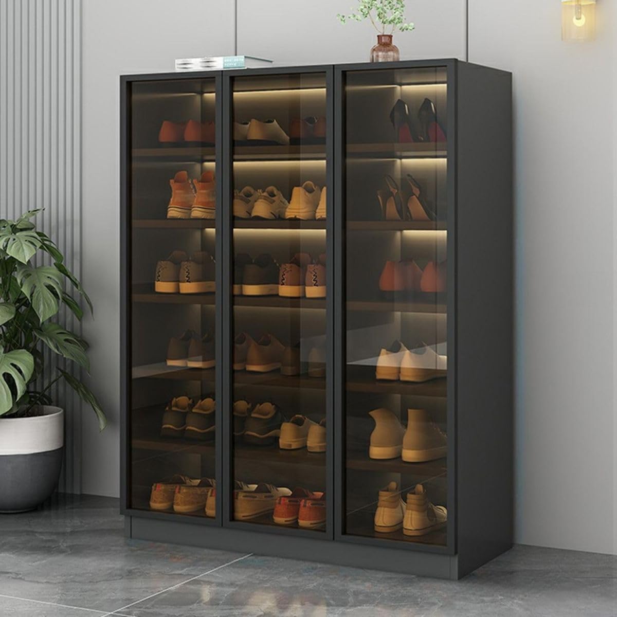 Glass Door Shoe Cabinet with LED Storage