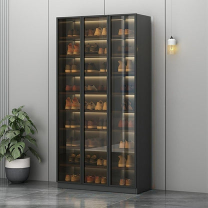 Glass Door Shoe Cabinet with LED Storage