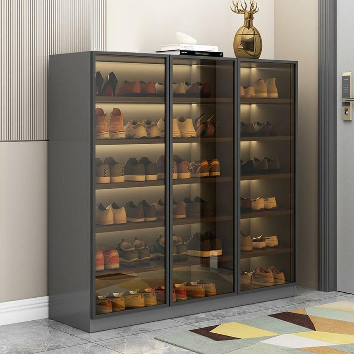 Glass Door Shoe Cabinet with LED Storage