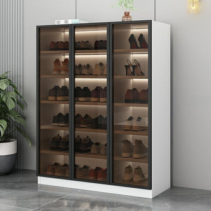 Glass Door Shoe Cabinet with LED Storage