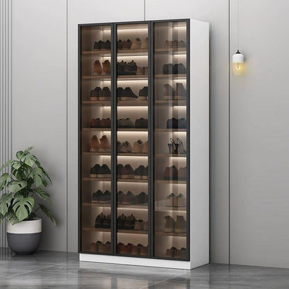 Glass Door Shoe Cabinet with LED Storage