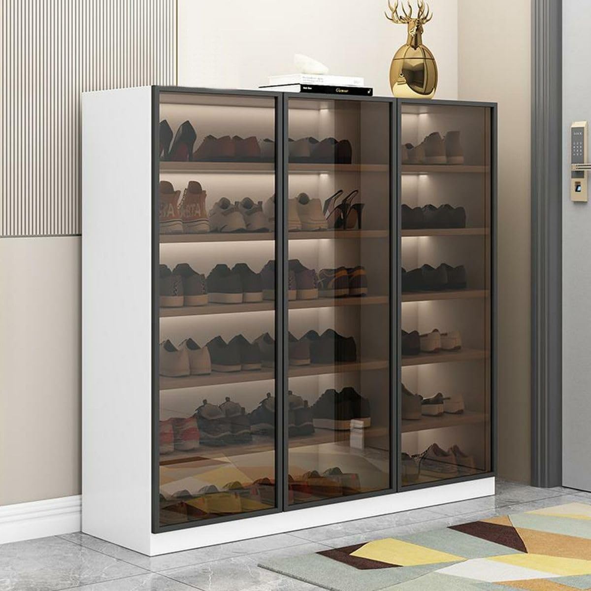 Glass Door Shoe Cabinet with LED Storage