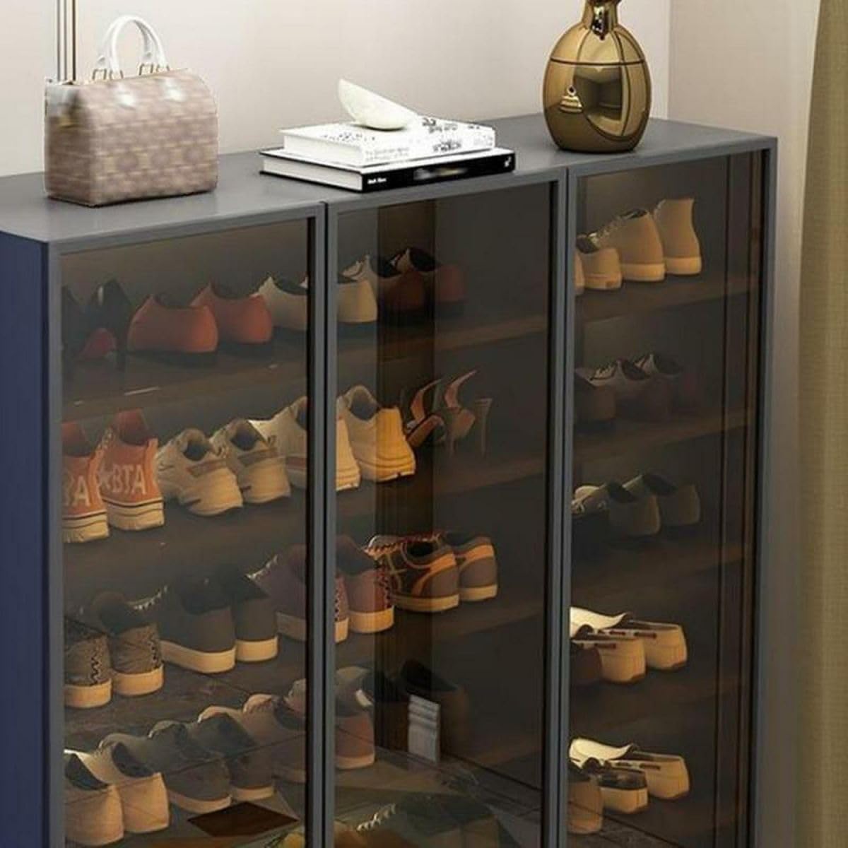 Glass Door Shoe Cabinet with LED Storage