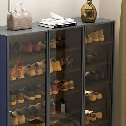 Glass Door Shoe Cabinet with LED Storage