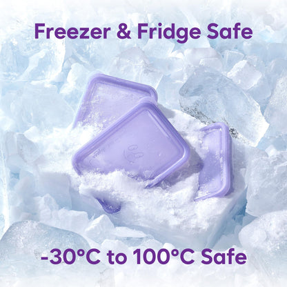 Freezer Food Storage Containers with Lids